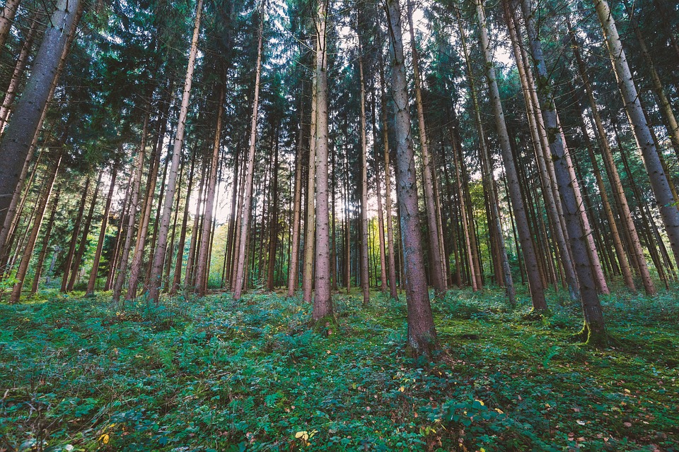 Lutter contre les nuisibles en respectant l'environnement